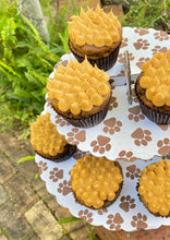Load image into Gallery viewer, W. Pupcakes - Peanut Butter Spikes
